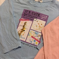 120cm長袖Tシャツ2枚セット
の画像