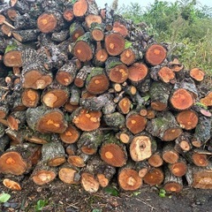 新NO3 薪用梨の玉切り軽トラ一台分　350Kg 福島市引取り限定の画像