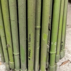 園芸支柱　約75cm  約100本の画像