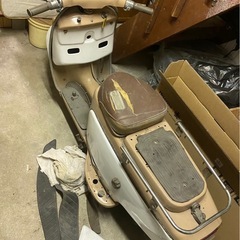 s301Rabbitの画像