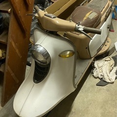 s301Rabbitの画像