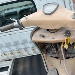 s301Rabbitの画像