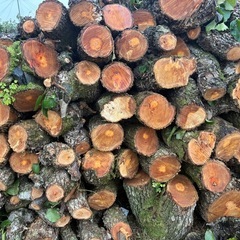 新NO5 薪用梨の玉切り軽トラ一台分　350Kg 福島市引取り限定 の画像