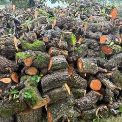 新NO5 薪用梨の玉切り軽トラ一台分　350Kg 福島市引取り限定 の画像