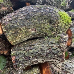 新NO5 薪用梨の玉切り軽トラ一台分　350Kg 福島市引取り限定 の画像