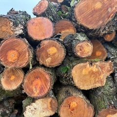 新NO5 薪用梨の玉切り軽トラ一台分　350Kg 福島市引取り限定 の画像