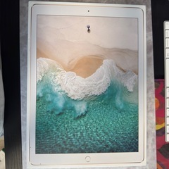 iPad pro 12.9インチ 第二世代256GB セルラー ごーるどゴールドの画像