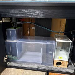 三重管オーバーフロー水槽 90cm/水槽台/レイシーポンプ/濾過槽等オールセットの画像