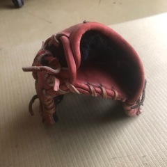 ZEEMS(ジームス)グローブ軟式の画像