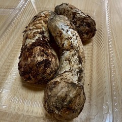 下伊那産 松茸の画像