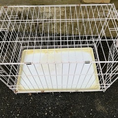 ケージの画像