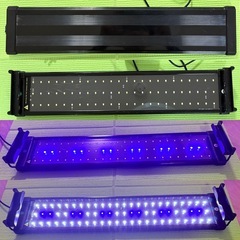 水槽・LEDライト・外掛けフィルター・CO2キットなど用品一式の画像