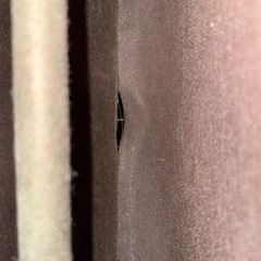 収納ラック　本棚の画像