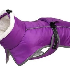 大型犬ジャケットの画像