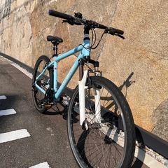 ルイガノ　
マウンテンバイクの画像