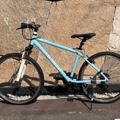 ルイガノ　
マウンテンバイクの画像