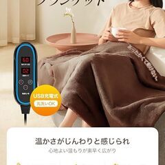 電気毛布 電気ひざ掛け 22800mAhバッテリー付 電気ブランケット 掛け 敷き 兼用 三段階温度調節 タイマー 自動オフ ヒーター付き ひざ掛けの画像