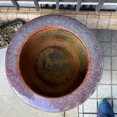 睡蓮鉢（メダカ飼育していました）の画像