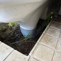 仮設トイレの画像