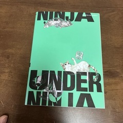 アンダーニンジャ12巻の画像