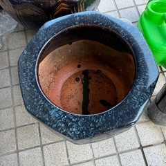 睡蓮鉢（メダカ飼育していました）の画像