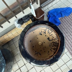 睡蓮鉢（メダカ飼育していました）の画像