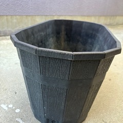 プラスチック鉢の画像