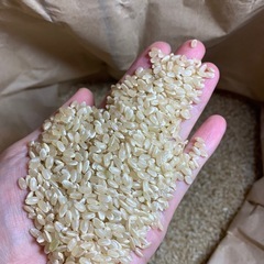 【令和7年度産】新米　堺市産　にこまる玄米30kgの画像
