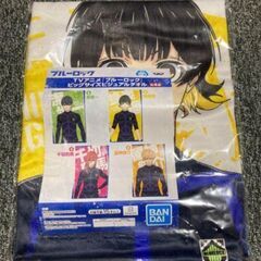 BLUELOCK ポーチとビジュアルタオルセット【新品・未使用】の画像