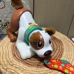 わんこセットの画像