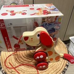 わんこセットの画像