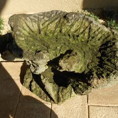 苔盆栽用　苔玉用　黒色溶岩石鉢。の画像