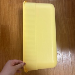 猫トイレの画像