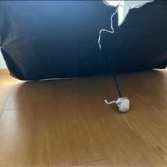 傘型専用サンシェード新品、普通車の画像