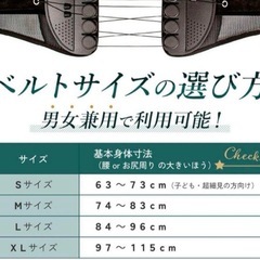 GUARDNER 腰痛ベルト XLサイズ 男女兼用　未使用品の画像