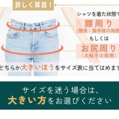 GUARDNER 腰痛ベルト XLサイズ 男女兼用　未使用品の画像