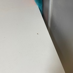 【決定済】0円  机の画像