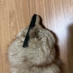 本物　毛皮マフラーの画像