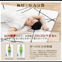 お話中　【1.5畳分】絨毯 カーペット ラグマット Beddiny シャギーラグ ホットカーペット対応 ホワイトの画像