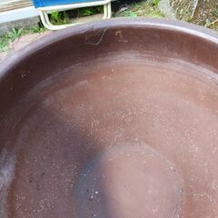 睡蓮鉢の画像