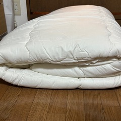 ニトリ 羊毛入り掛け布団 セミダブル
の画像