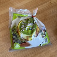 多肉植物を育てる土の画像