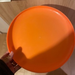 フリスピーの画像