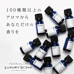 LUXURY SCENT アロマディフューザー + アロマオイル(CK-ONE "カルバンクライン シーケーワン" )オイルセットの画像