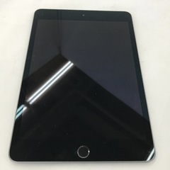 iPadmini 第5世代 セルラーWiFiモデルの画像