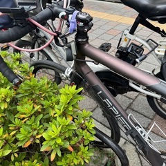 自転車　ロードバイクの画像