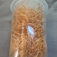ショウジョウバエ飼育セットの画像