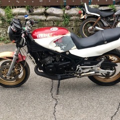 YAMAHA  RZ250R ( 29L)の画像
