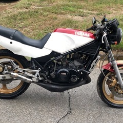 YAMAHA  RZ250R ( 29L)の画像