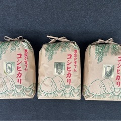 令和7年度産　新米　コシヒカリ100% 　白米　1袋　5kgの画像